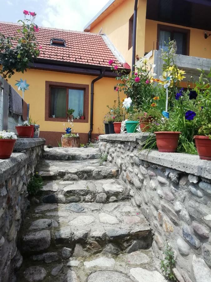 شقة Casa Darius Orşova المظهر الخارجي الصورة